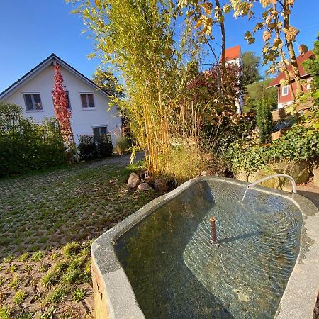 Pia'S Nature Retreat Neukirch  Buitenkant foto